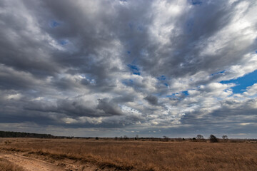A cloudy sky with a few trees in the background