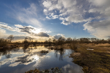 Fototapeta premium A calm lake with trees in the background and a cloudy sky