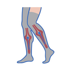 Leg Illustration Icon Representing Circulatory Issues and Vascular Health