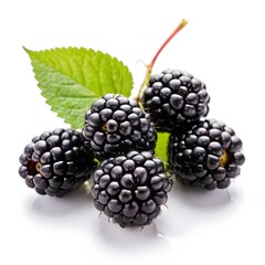 Fototapeta premium Fresh Blackberries with Green Leaf