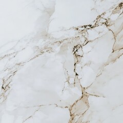 A closeup of a white marble tile with a brown border