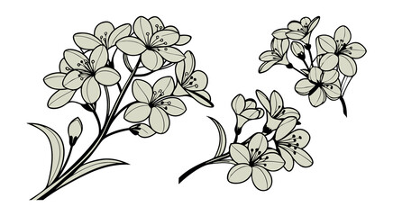 Abstract floral decoration flowers vector Design line art illustration silhouettes Floral vintage sketch   