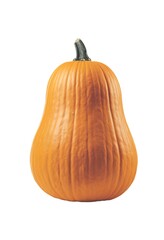 Orange pumpkin on a white isolated background