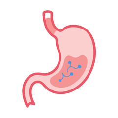 Obraz premium Stomach Organ Icon Representing Digestive System and Gastrointestinal Health