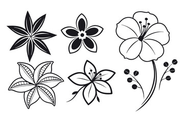 Abstract floral decoration flowers vector Design line art illustration silhouettes Floral vintage sketch   