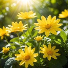 Sunlit Yellow Flowers in Bloom