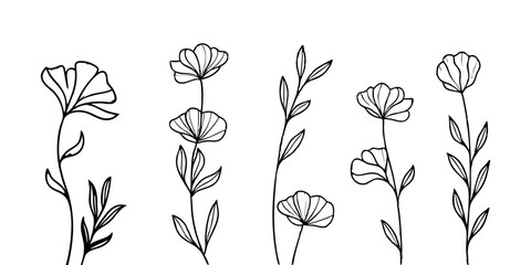 Abstract floral decoration flowers vector Design line art illustration silhouettes Floral vintage sketch   