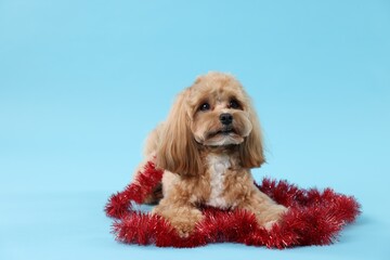 Cute dog with shiny tinsel on light blue background