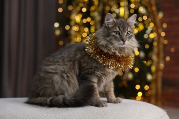 Cute cat with shiny Christmas tinsel on pouf indoors. Bokeh effect