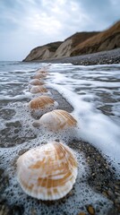 Seashells on Beach, Cloudy Day