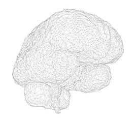 A brain is shown in a black and white drawing. The drawing is of a brain with many lines and dots. The brain is shown in a very detailed manner, with many different parts of the brain shown