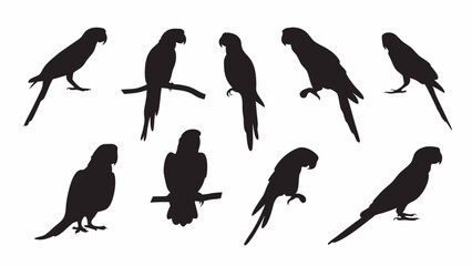 Parrot Macaw silhouette vector set
