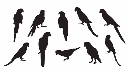 Parrot Macaw silhouette vector set
