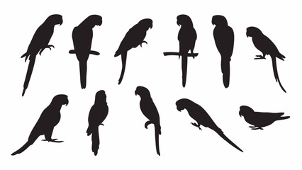 Parrot Macaw silhouette vector set  © Rani