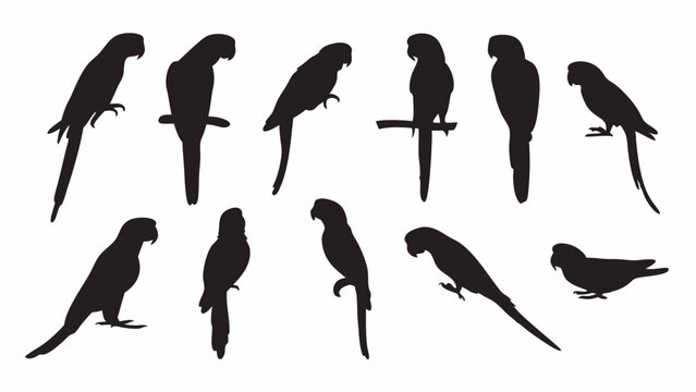 Parrot Macaw silhouette vector set
