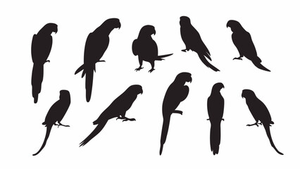 Parrot Macaw silhouette vector set
