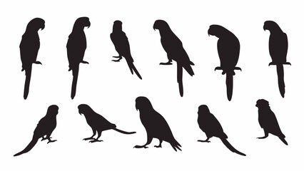 Parrot Macaw silhouette vector set
