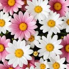 Fototapeta premium Pink and White Daisies
