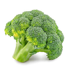 A fresh tender head of broccoli with vibrant green florets and crisp texture, isolated white background, hyperrealism art style