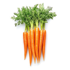 A fresh vibrant bunch of carrots with green tops, isolated white background, hyperrealism art style