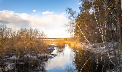 A calm river with a few trees in the background
