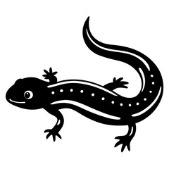 lizard on a white background