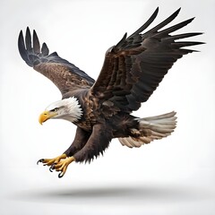 Fototapeta premium Majestic Bald Eagle in Flight