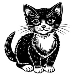 Obraz premium black and white cat