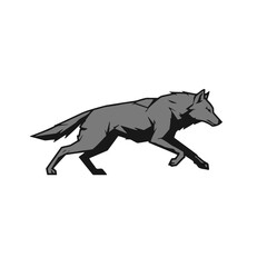 Fototapeta premium Wolf running silhouette