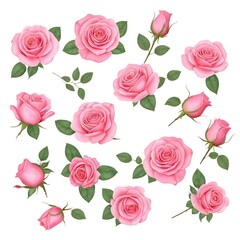 Naklejka premium Pink Roses Collection