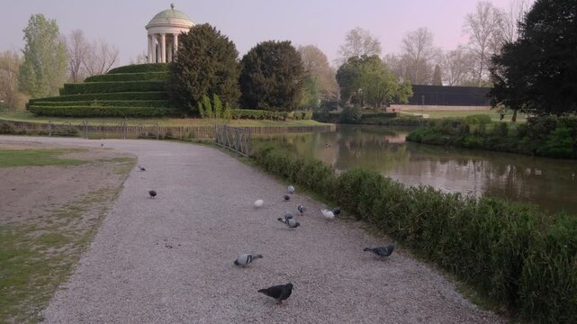 piccioni in primo piano che mangiano sul sentiero del parco, in secondo piano Tempietto Monoptero,  Parco Querini a Vicenza, veneto, Italia, 