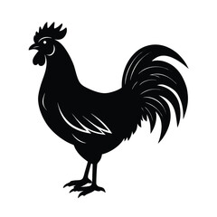 Isolated Rooster Bird Illustration