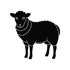 Sheep Farm Animal Illustration