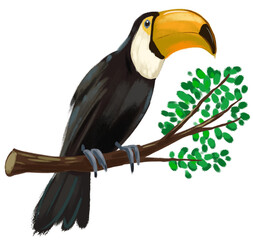 Toco Toucan in Jungle