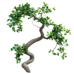 Bonsai tree branch with vibrant green leaves and textured bark isolated on a white background highlighting natural beauty