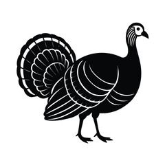 Isolated Turkey Bird Illustration
