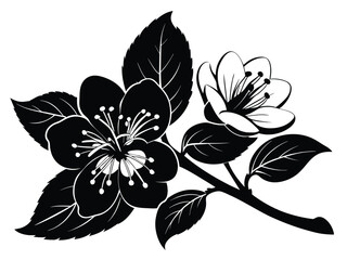 Monochrome floral vector illustration presents a black and white flower isolated, showcasing nature's beauty in a vintage drawing with a delicate leaf silhouette
