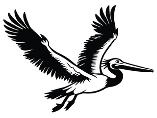 Vector illustration features a black silhouette of a flying pelican and an eagle, wild birds in flight with spread wings, a symbol of freedom and nature design