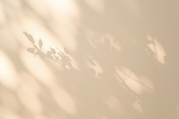 Fototapeta premium Subtle Leaf Shadows on Beige Wall Background
