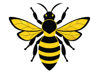 Cute yellow bee cartoon vector illustration, a happy flying insect