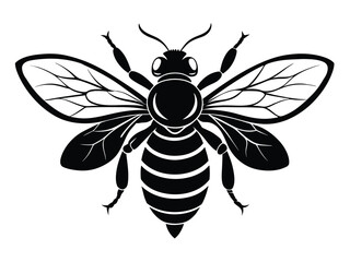 Vector illustration of a black wasp and bee, isolated insect wings