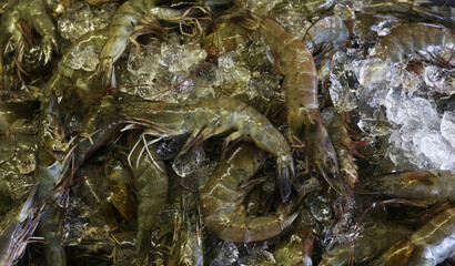 close up fresh shrimps from top view ready for sale at the market, shrimps background with copy space
