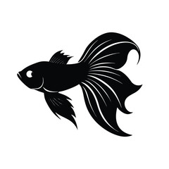 Fototapeta premium betta fish flaring vector silhouette 