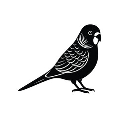 Obraz premium budgerigar side view vector silhouette 