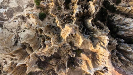 Yunnan Earth Forest Scenery