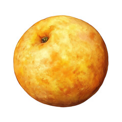 Obraz premium A ripe peach with velvety skin and bright yellow orange color, isolated white background, hyperrealism art style