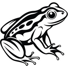 Frog isolated vector, Frog silhouette vector art