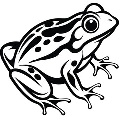 Frog isolated vector, Frog silhouette vector art