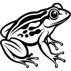 Frog isolated vector, Frog silhouette vector art