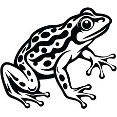Frog isolated vector, Frog silhouette vector art